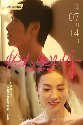 ǡ��������2019