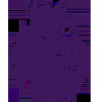 Ӣ�� ����vs�ж���20250921