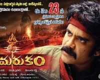 ʪ�ŵĳ���Ӣ��2