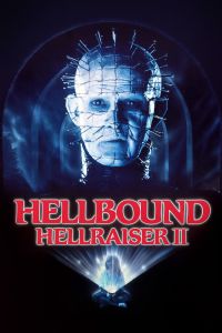 ��������2