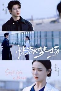 ��������һ��