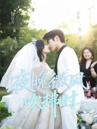 ҹ��΢�紵��ʱ