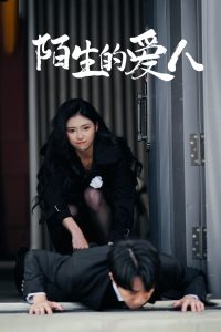 İ���İ���