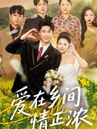 �����������Ũ