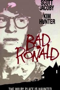 ���ɵ��ǻ�����