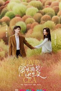 ����ϵ����