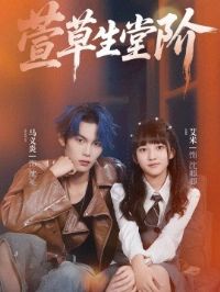 ������ý�