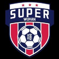 �人�������򳬼�������У�� ���ְҵѧԺ2.1�人��ѧ20251019