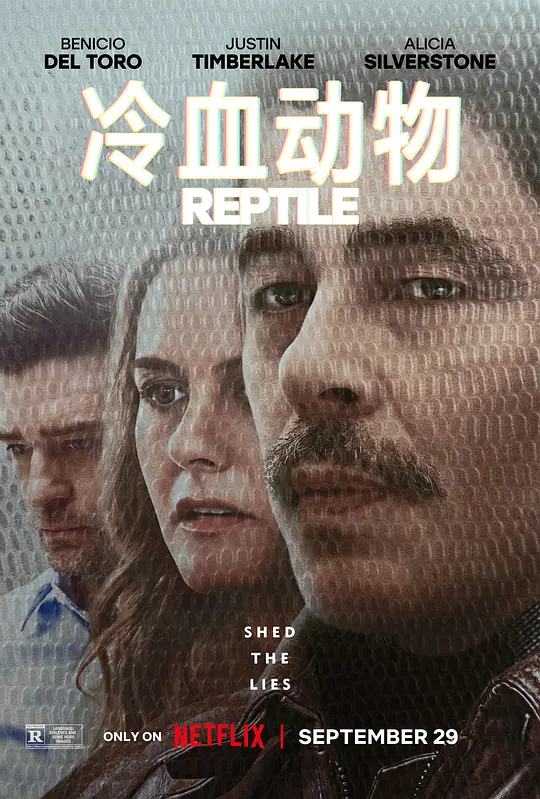 ��Ѫ���Ӱ�ӽ�˵��