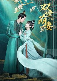 ˫������