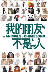 �ҵ����Ѳ�����