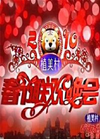 2010�������Ӵ�����������