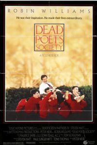 ׳־������Ӱ�ӽ�˵��